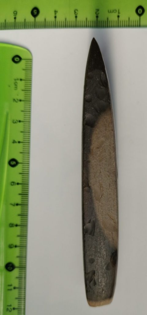 Кремневый наконечник топора, датируемый примерно 2500 г. до н. э., обнаруженный бабушкой в Польше. (Изображение: Люблинский воеводский хранитель памятников)