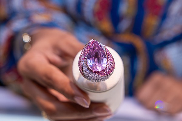 JIS fall purple ring